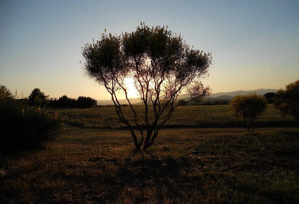 Agriturismo Il Grillo Parlante-1