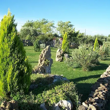 Agriturismo Il Grillo Parlante-3